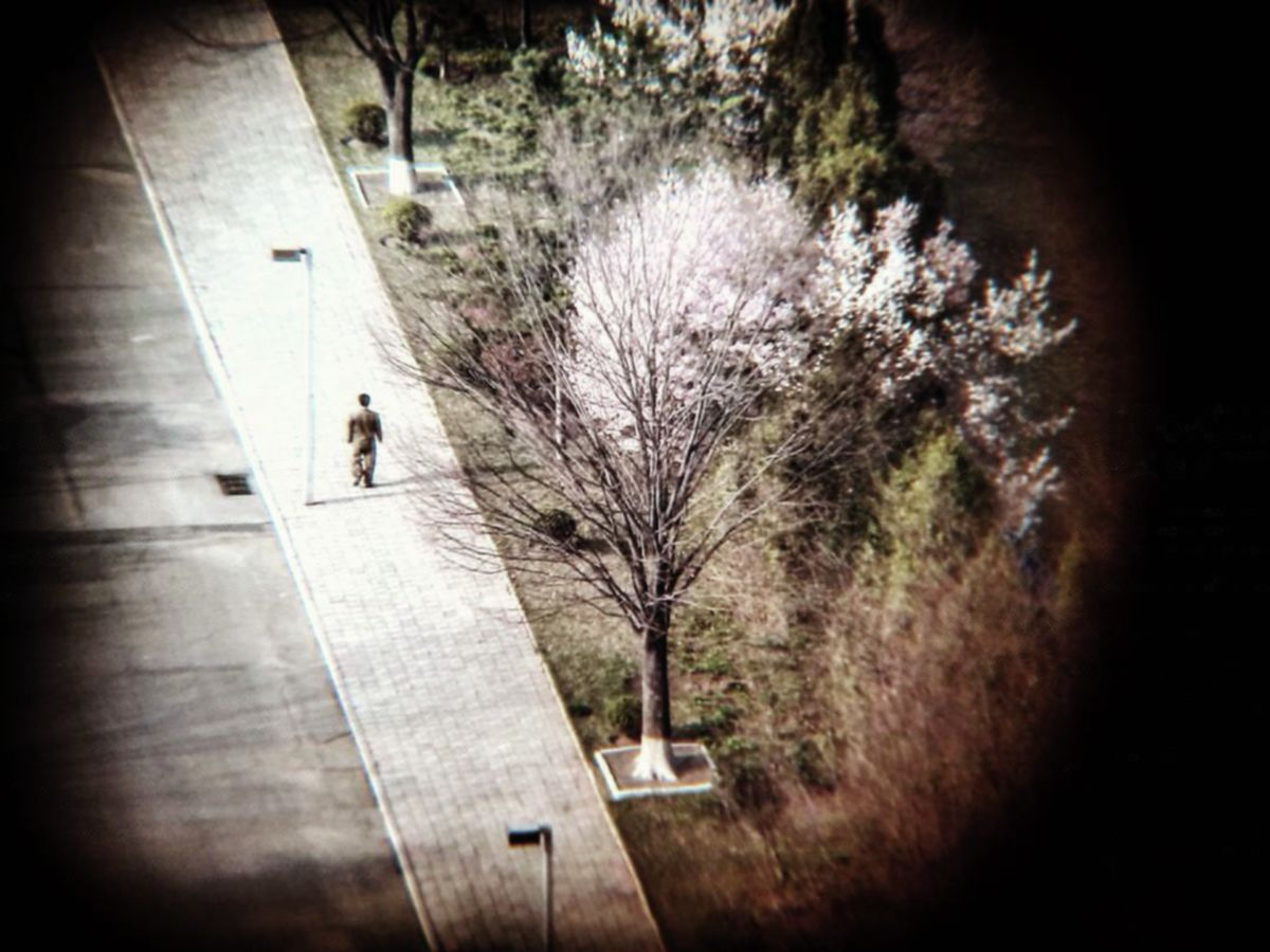 SNIPER (PYONGYANG, 2016)