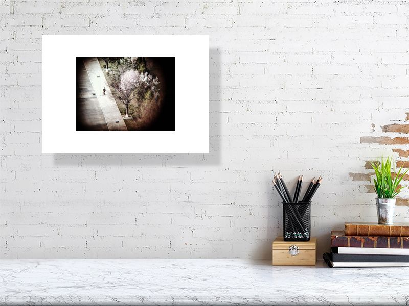 SNIPER (PYONGYANG, 2016)